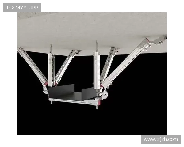 挖掘机液压管路系统抗振支架